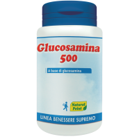 GLUCOSAMINA 500 100 CAPSULE