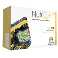 NUTRIZYM 60 CAPSULE