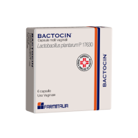 <b>BACTOCIN capsule molli vaginali</b><br>  <em>Lactobacillus plantarum P 17630</em><br><b>Che cos’è e a che cosa serve</b><br>BACTOCIN contiene come principio attivo il Lactobacillus plantarum P 17630. Questo batterio è  normalmente p