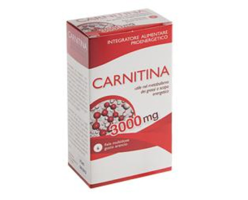 CARNITINA 6FL