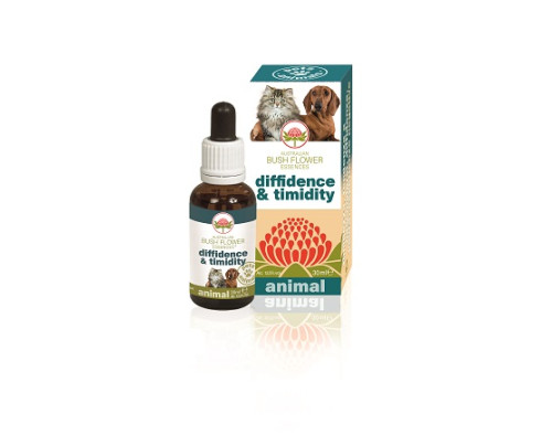 DIFFIDENCE & TIMIDITY 30 ML