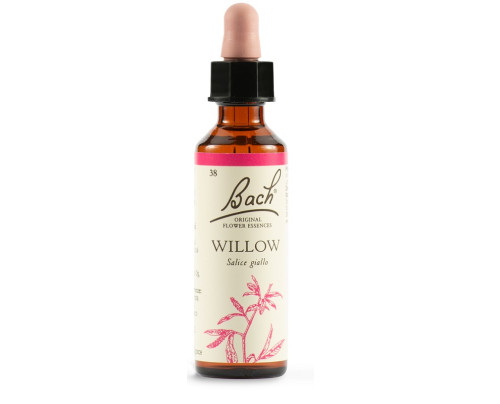 WILLOW BACH ORIG 20 ML