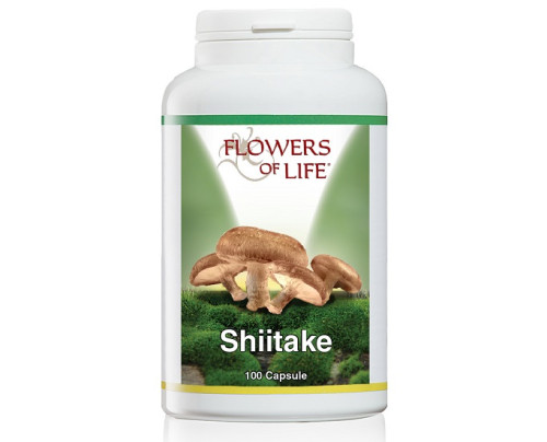 SHIITAKE 100CPS FLOWERS OF LIF