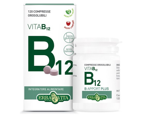 B APPORT VITAMINA B12 120 COMPRESSE OROSOLUBILI